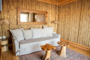 טנטי צפוני סלון