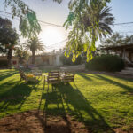 יעלים וערבה דשא מרכזי