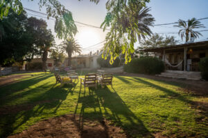 יעלים וערבה דשא מרכזי