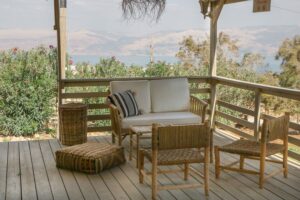 יעלים וערבה מרפסת3