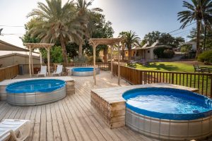 יעלים וערבה דשא מרכזי שיכשוכית