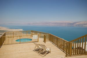 נוף ושיכשוכית מצוק2